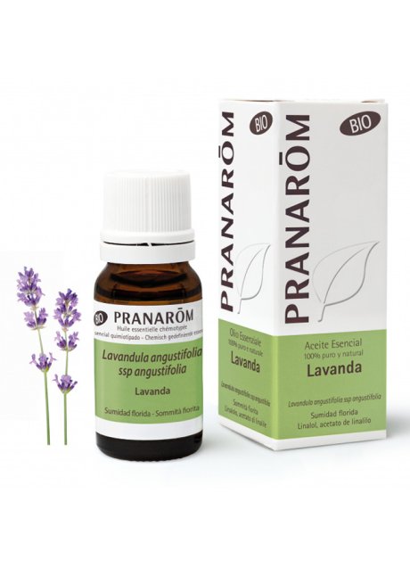 PRANAROM LAVANDA OLIO ESS BIO 10