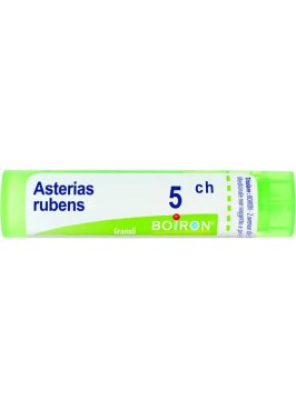 ASTERIAS RUBENS 5CH GR BO<