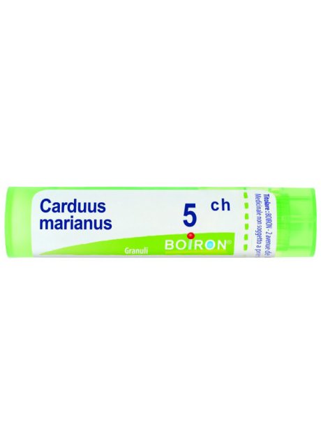 CARDUUS MARIANUS 5CH GR BO