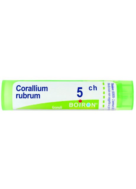 CORALLIUM RUBRU*BO*TG 5CH