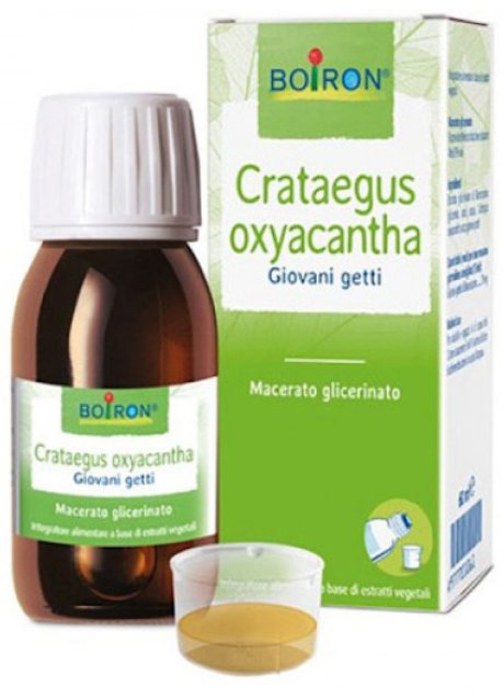 CRATAEGUS OXYACANTHA  TINTURA MADRE 60 ML