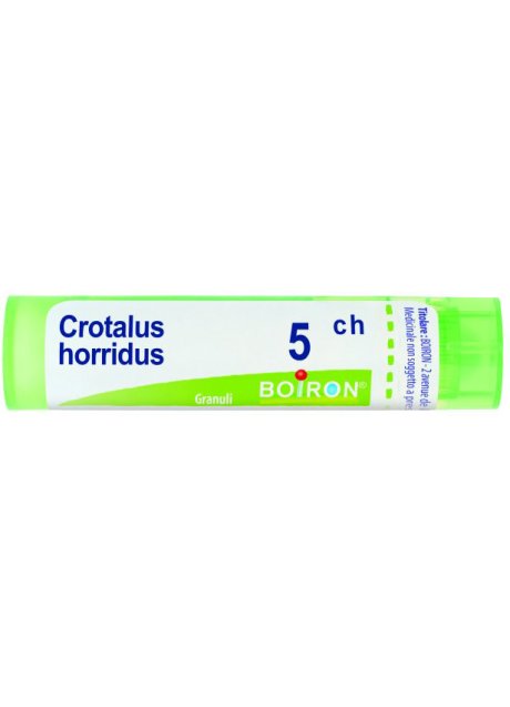 CROTALUS HORRIDUS 5CH GR