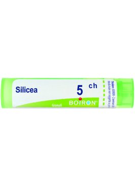 SILICEA 5CH GR BO