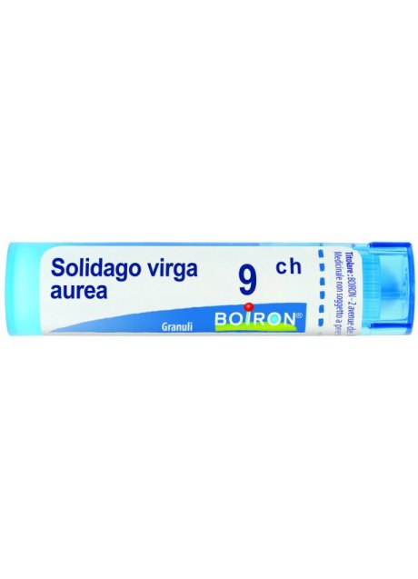 SOLIDAGO VIRGA 9CH GR BO