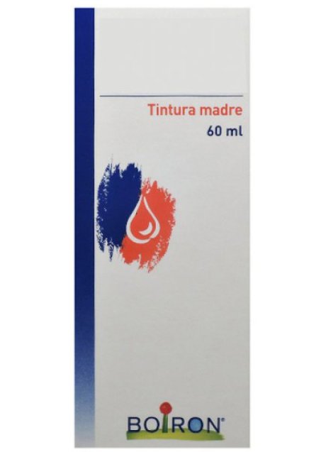 TARAXACUM TINTURA MADRE 60 ML