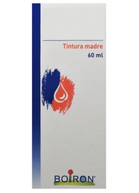 THUYA OCCIDENTALIS TINTURA MADRE 60 ML