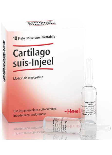 HEEL CARTILAGO SUIS INJEEL 10 FIALE