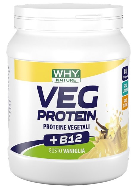 WHYNATURE VEG PROTEIN VAN 450G