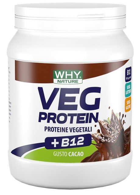 WHYNATURE VEG PROTEIN CAC 450G