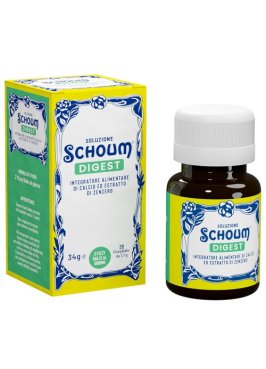 SOLUZIONE SCHOUM DIGEST 20FIZZ