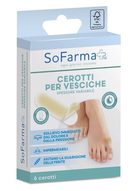 CEROTTO VESCICA PICCOLO 6PZ SF+