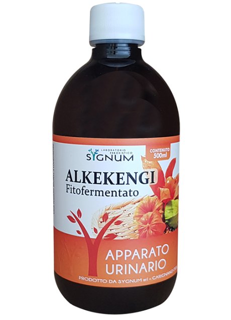 ALKEKENGI 500ML