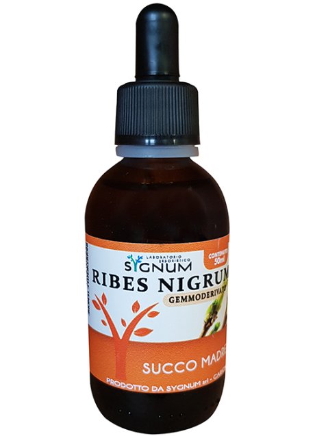 RIBES NIGRUM SUCCO MADRE 50ML