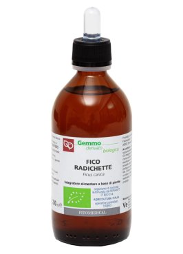 FICO RADICHETTE MG BIO 200ML