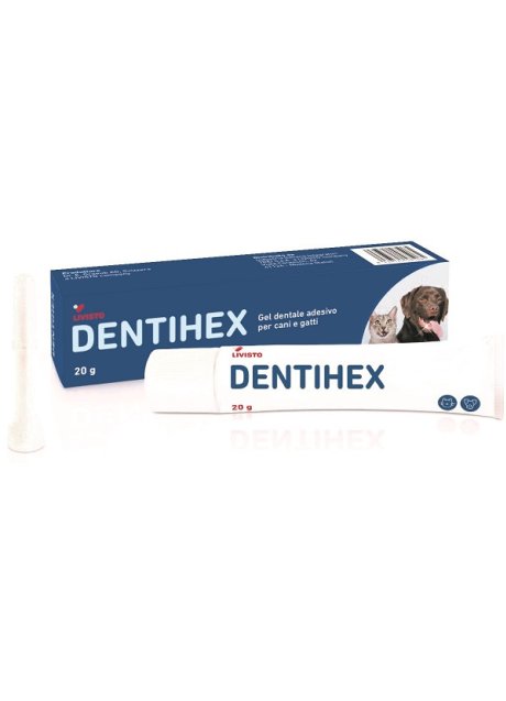 DENTIHEX GEL DENTALE ADES C/G