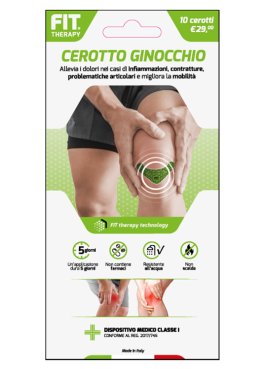 FIT THERAPY CER GINOC 10PZ