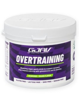 GJAV OVERTRAINING POLVERE 300G