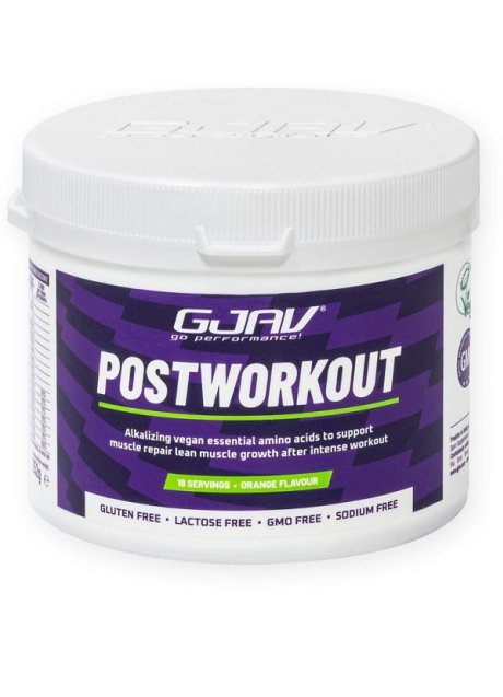 GJAV POSTWORKOUT ARANCIA 261G