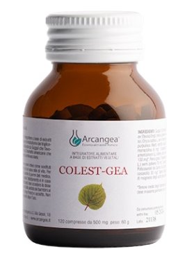 COLEST-GEA C/Q10 120CPR 500MG N/