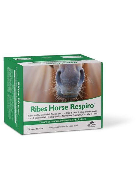 RIBES HORSE RESPIRO 30BUST