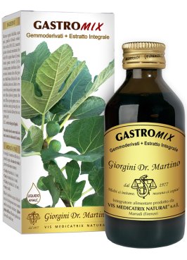 GASTROMIX LIQUIDO ANALC 100ML