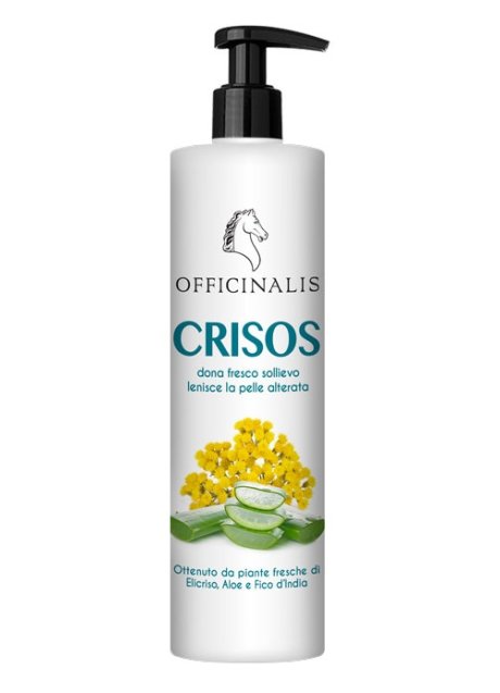GEL CRISOS 98% 100ML