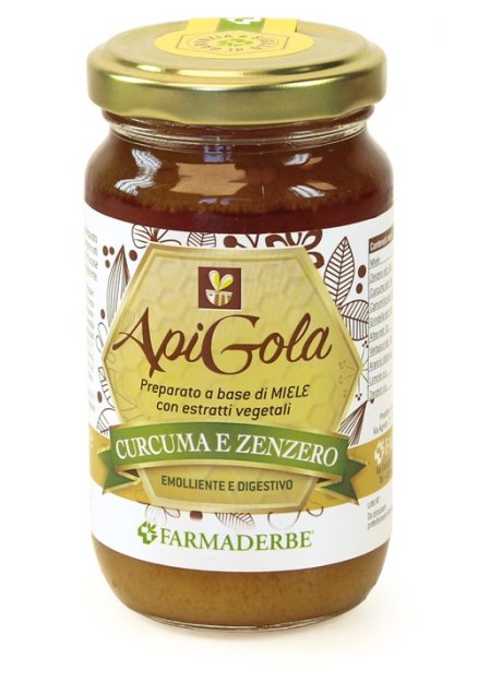 APIGOLA MIELE CURCUMA/ZENZERO