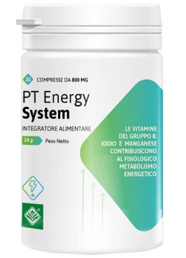 PT ENERGY SYSTEM 30CPR 24G